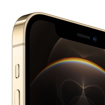 Фото 2 — Смартфон Apple iPhone 12 Pro 256GB Золотой